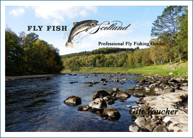 Gift Voucher